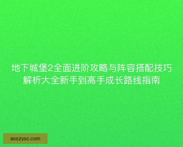 地下城堡2全面进阶攻略与阵容搭配技巧解析大全新手到高手成长路线指南